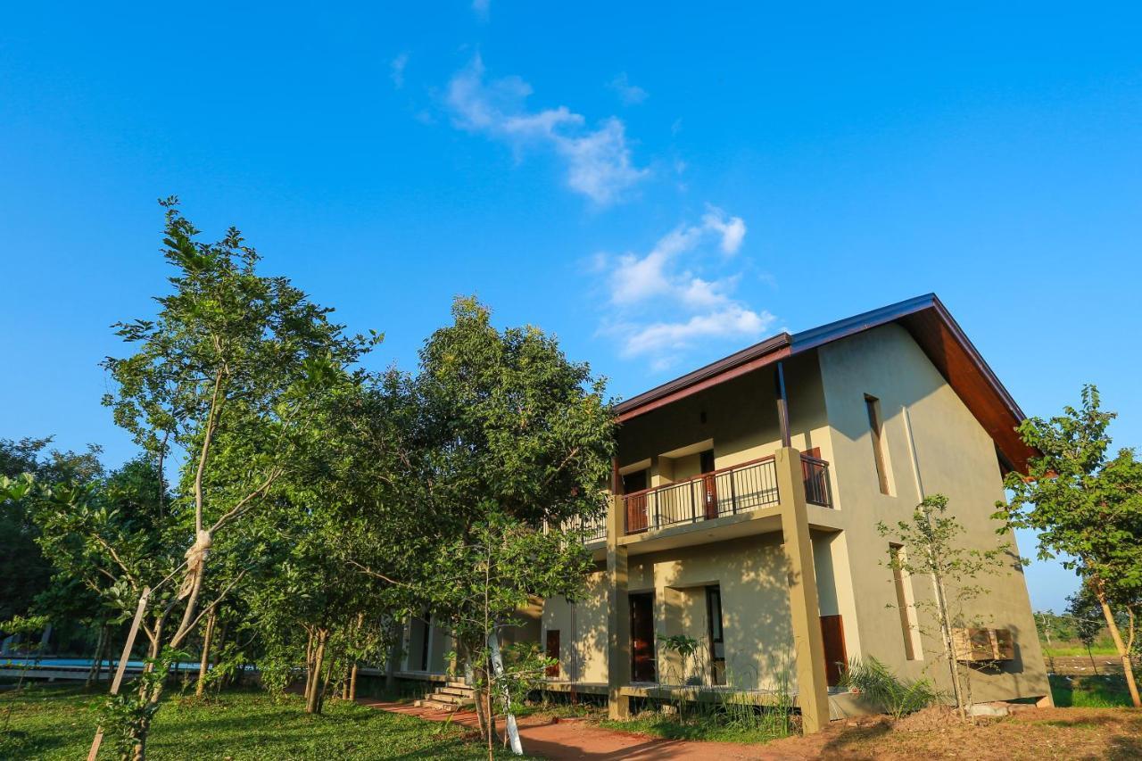 Tropical Life Resort And Spa Dambulla Exteriér fotografie