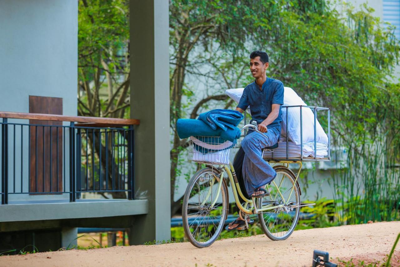 Tropical Life Resort And Spa Dambulla Exteriér fotografie