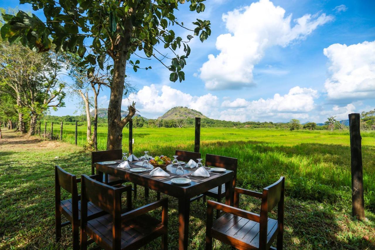 Tropical Life Resort And Spa Dambulla Exteriér fotografie